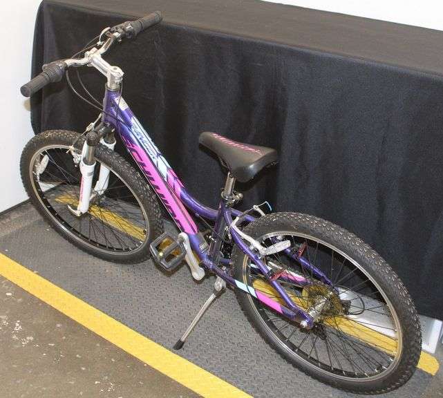 Schwinn Bike