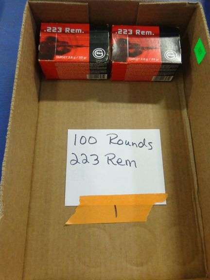 100 rounds, 223 REM