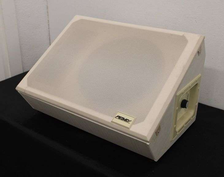 Peavey Church Speaker