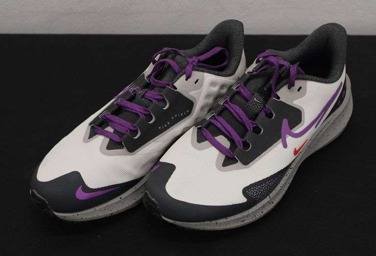 Nike Air Zoom Pegasus 39 Shield