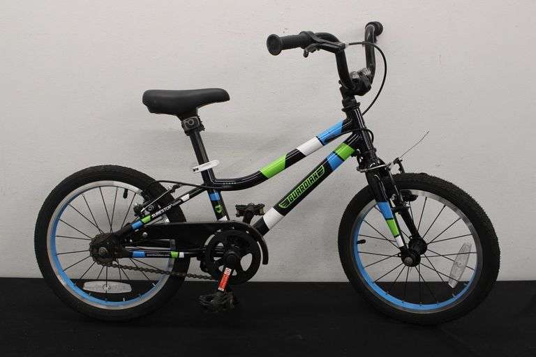 Guardian Ethos 16" Bike