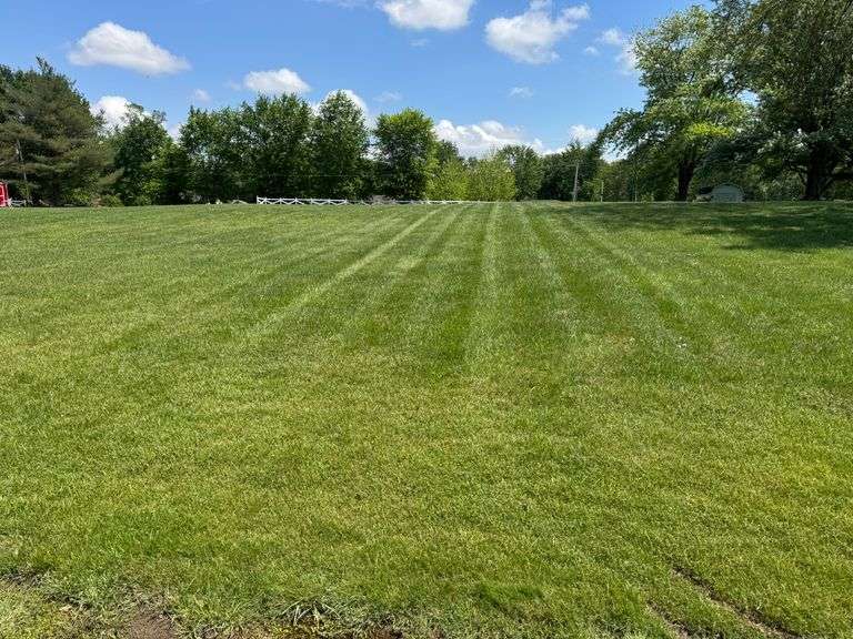 Lot A