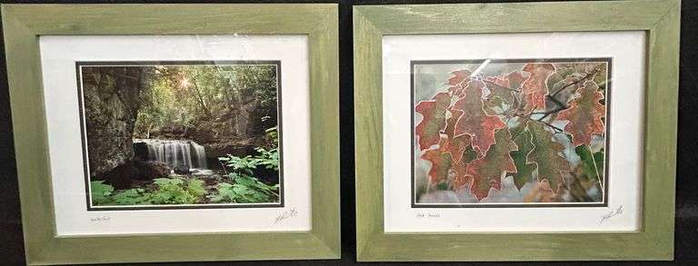14" X 17" Lot of 2 Photographs (Oak Tree & Waterfall)