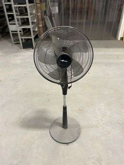 Ecohouzing Stand Up Fan