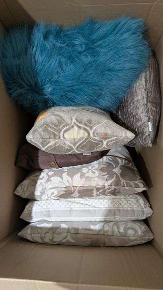 Box Lot of Decorative Throw Pillows