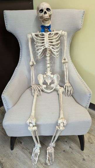 Life-Size Human Skeleton Model with Blue Bow Tie
