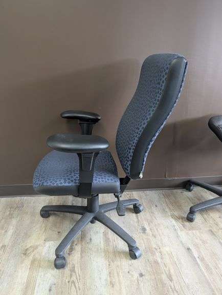 Chairs Limited Mid Back Ergonomic Office Chair with Patterned Fabric