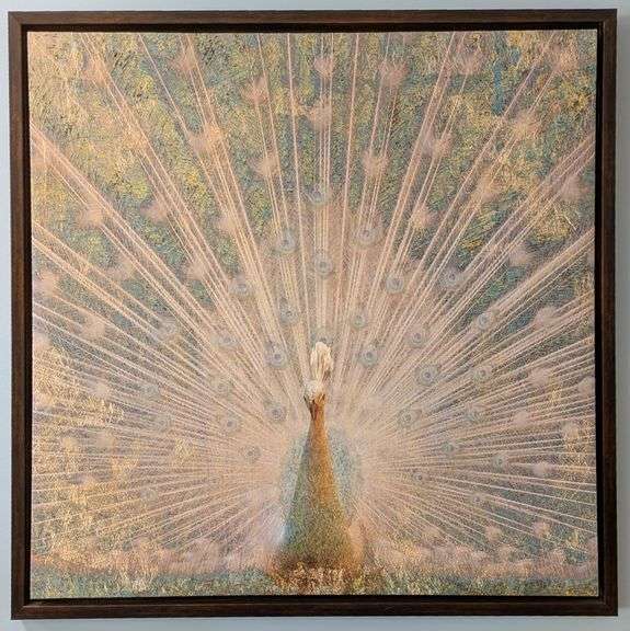 Framed Peacock Artwork, 28"L x 28" H