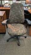Custom Ergonomic Office Chair