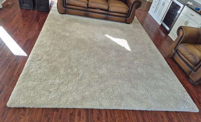 Deep pile off-white area rug