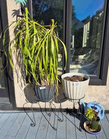 Pair of Planters in metal stands, watering can, Etc