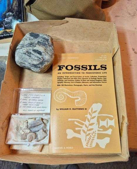 Boy Scout mess kit, rocks, fossil book, antique readers, Frederick Remington book, Jedi Masters quiz