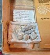 Boy Scout mess kit, rocks, fossil book, antique readers, Frederick Remington book, Jedi Masters quiz