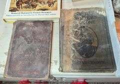 Boy Scout mess kit, rocks, fossil book, antique readers, Frederick Remington book, Jedi Masters quiz