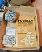 Boy Scout mess kit, rocks, fossil book, antique readers, Frederick Remington book, Jedi Masters quiz