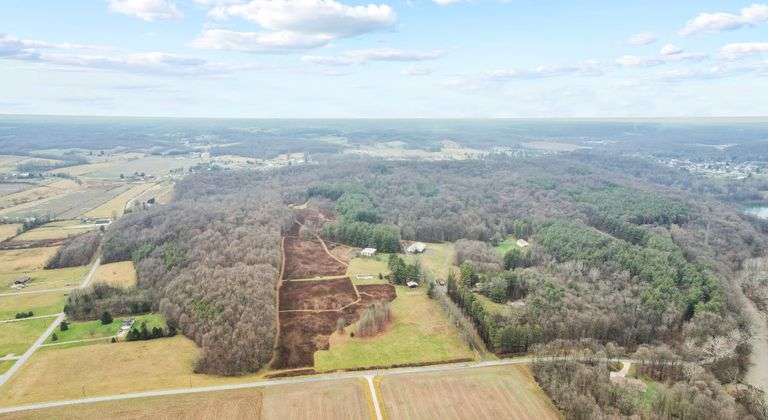 226 Acres in Richland County offered in whole or in parts