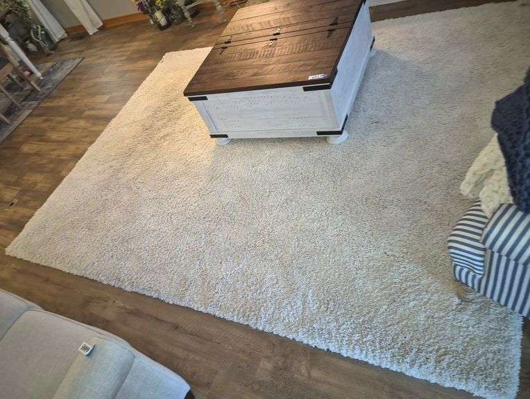 Large deep pile off-white area rug