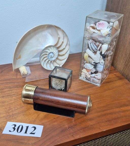 Seashells, kaleidoscope, Etc
