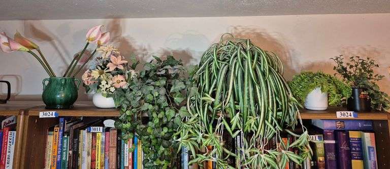 Real and fake plants, planters, vase, etc.