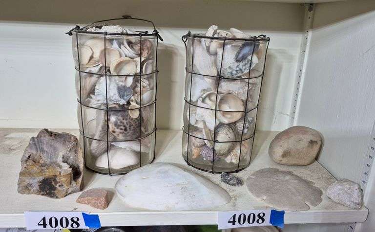 Seashells, rocks