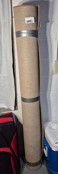 Beige area rug