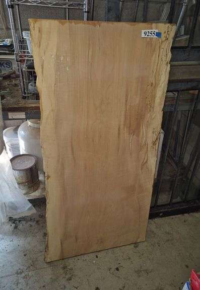 Live Edge wood panel/table top/counter top