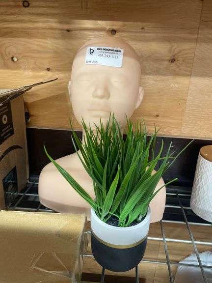 MANEQUIN HEAD + FAKE PLANT