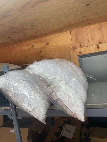 2PCK. BED PILLOWS