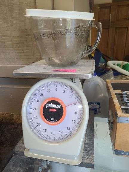 Rubbermaid Pelouze Scale and Measuring Cup