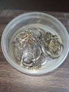 Various Costume Jewelry in Upstairs Office