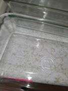 Pyrex  baking dishes.