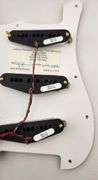 🎸 Richie Kotzen Autographed DiMarzio Loaded Strat Pickguard (Pearl White)