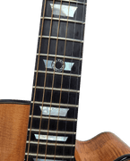 Richie Kotzen’s 1-of-1 Custom Lâg Tramontane Acoustic/Electric – Hand-Built in France by Michel Lâg-Chavarria