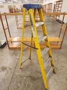 6ft Commercial Ladder