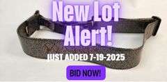 Richie Kotzen’s Vintage DiMarzio Silver Sparkle Guitar Strap – Signed