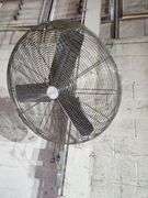 Bid x 8    30" Fans Buyer Responsible for Removal