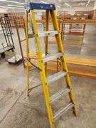 6ft Commercial Ladder