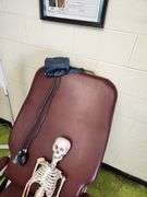 Exam Chair Exam Light and Skippy the Skeleton