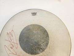 Richie Kotzen-Used & Signed Snare Drum Head – Studio Kit
