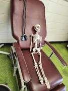 Exam Chair Exam Light and Skippy the Skeleton