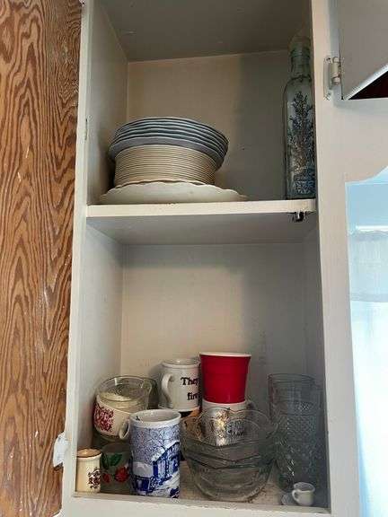 Contents of kitchen cabinet
