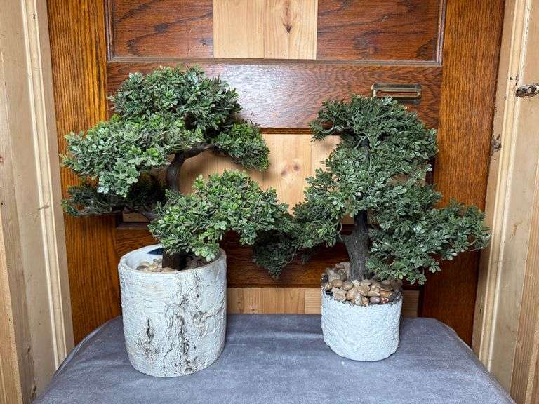 pair of artificial bonsai trees