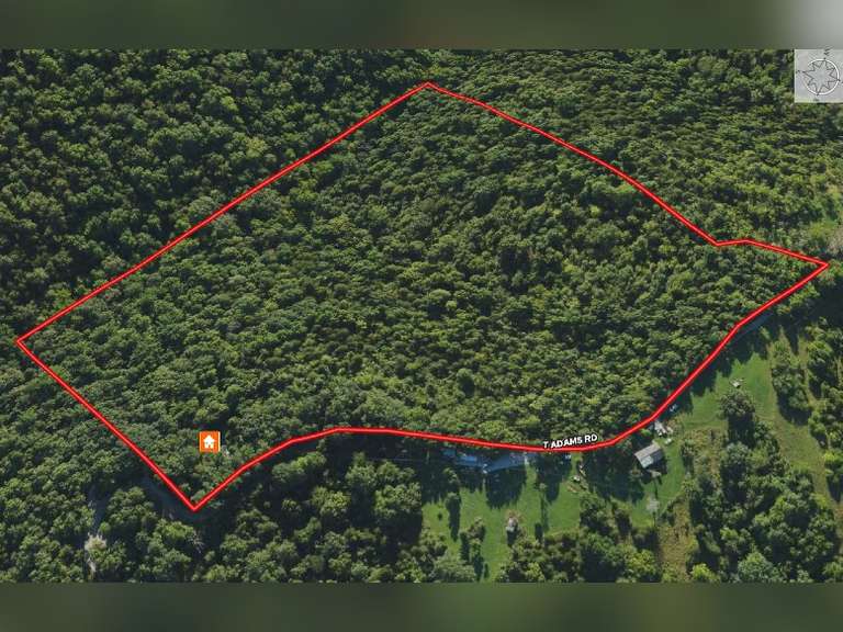18 48 Acres Williamstown Pendleton Co Ky Plus Untitled Mobile Home 18-48-acres-williamstown-pendleton-co-ky-plus-untitled-mobile-home