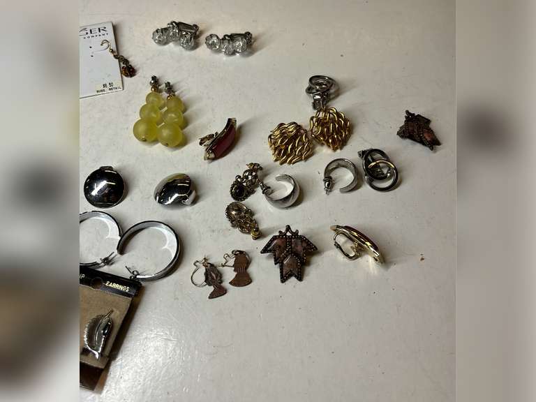 Earrings