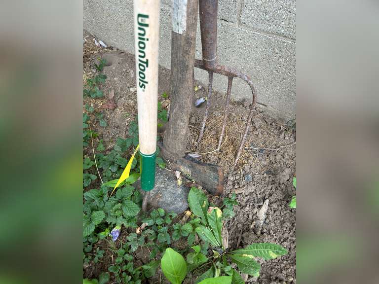 Hoe, Axe, pitchfork
