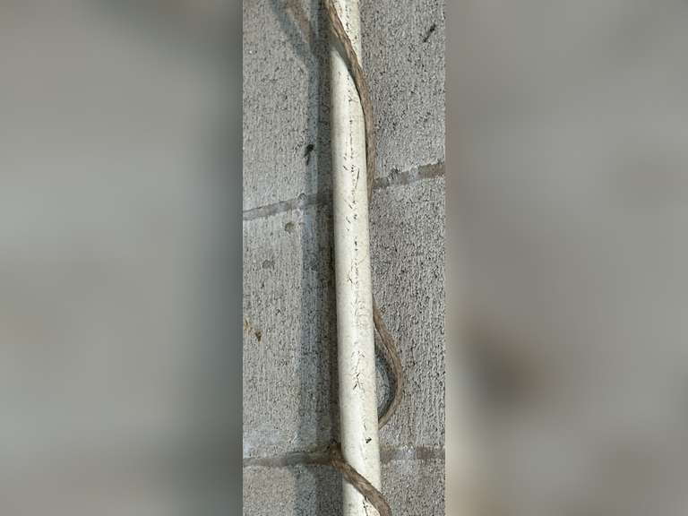 Pole limb lopper