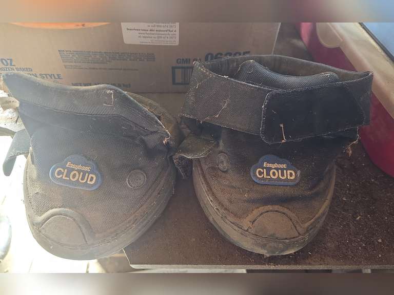 Pair of Soft Ride therapeutic horse boots. Size 3 - Northern Kentucky ...