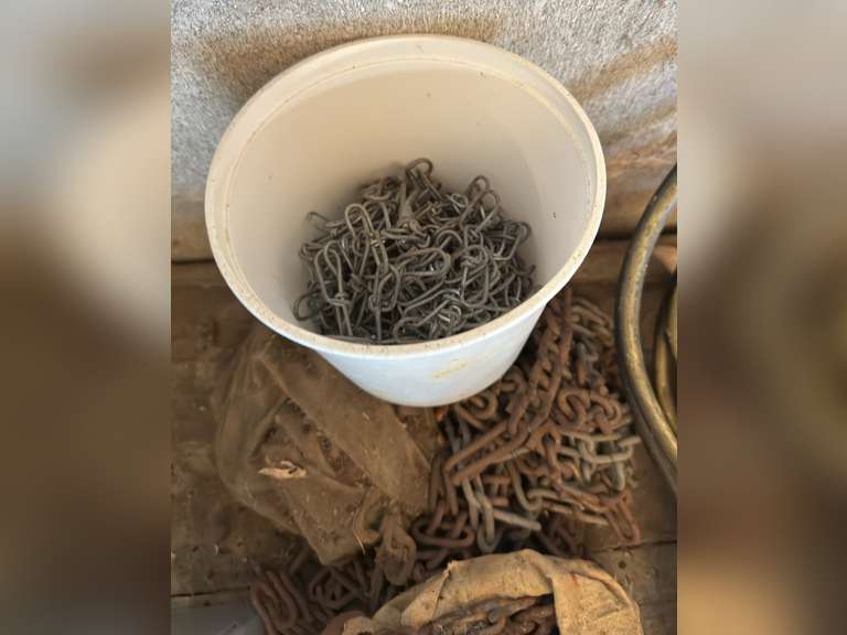 Tire chains, dog chain