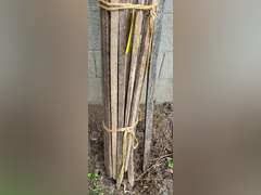 Tobacco sticks
