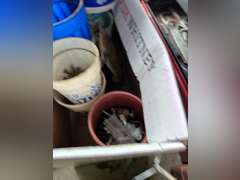 Box with miscellaneous nails, and staples